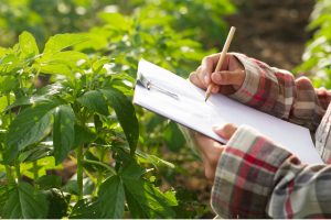 Primera Guía de Agricultores de San Lorenzo - Promoviendo la agricultura local