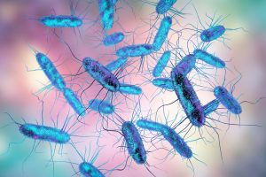 Prevención de Salmonella