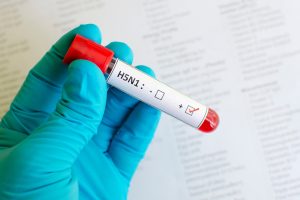 Primera muerte por influenza aviar H5N1 confirmada en EE. UU.