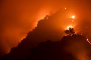 Magellan Health habilita línea de crisis por incendios en California