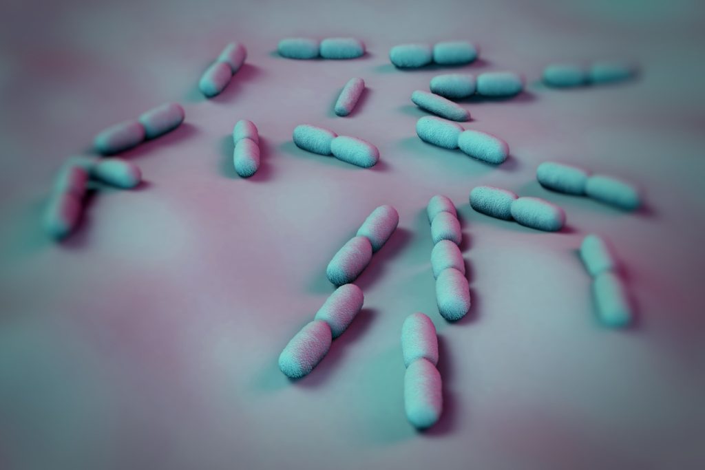 CDC alerta sobre brote de listeria vinculado a batidos nutricionales