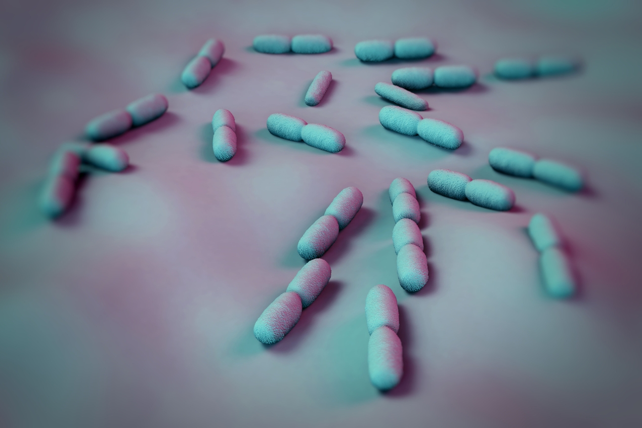 CDC alerta sobre brote de listeria vinculado a batidos nutricionales