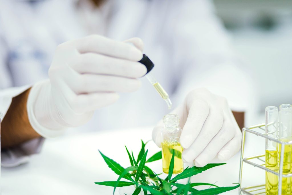 Levantan suspensión a laboratorio de cannabis medicinal para evitar concentración de servicios