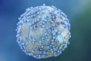 Célula de Cáncer de Páncreas