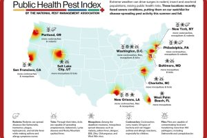 Ciudades de Estados Unidos enfrentan mayor riesgo de plagas que amenazan la salud pública