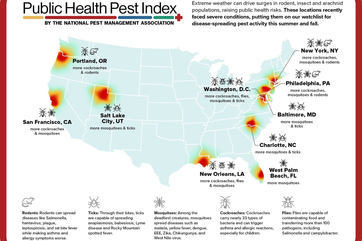 Ciudades de Estados Unidos enfrentan mayor riesgo de plagas que amenazan la salud pública